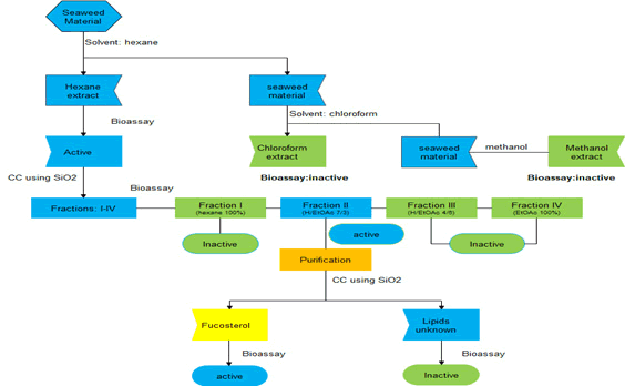 Natural-Products-Chemistry-Research-Process