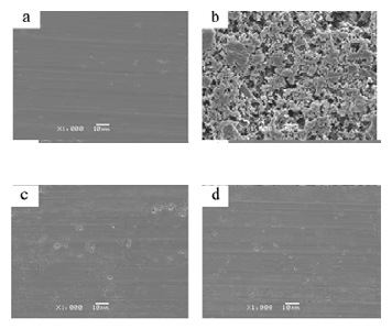 Natural-products-chemistry-research-SEM