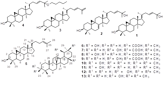 Natural-products-chemistry-research-Structure