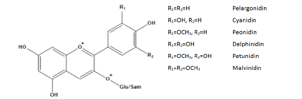 npcr-10-7-005-g001