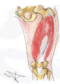 ldacr-12-1-24034-g006
