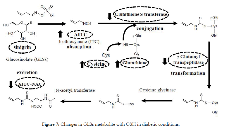 diabetes-metabolism-conditions