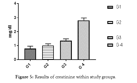 diabetes-metabolism-creatinine