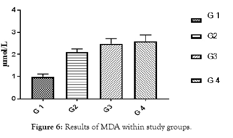 diabetes-metabolism-study-groups