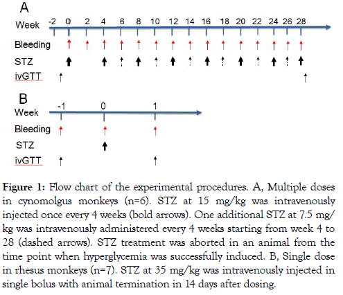 diabetes-metabolism-time-just