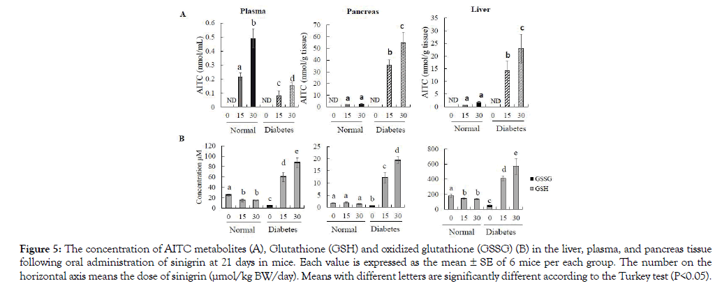 diabetes-metabolism-tissue