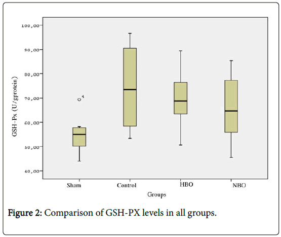 general-medicine-GSH-PX-levels