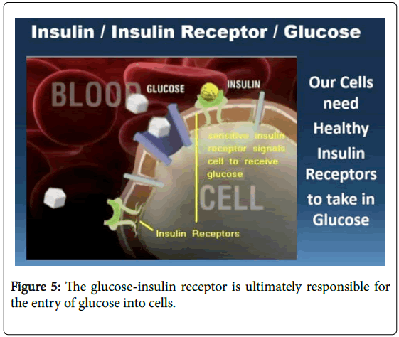 general-medicine-glucose-into-cells