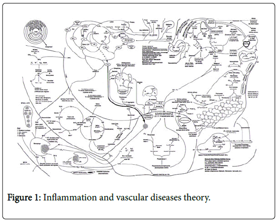 general-medicine-vascular-diseases-theory
