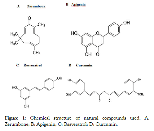 natural-products-chemistry-Chemical-structure