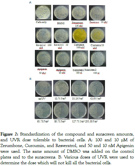 natural-products-chemistry-Standardization