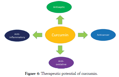 natural-products-chemistry-Therapeutic-potential