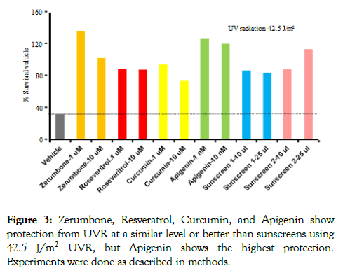 natural-products-chemistry-Zerumbone