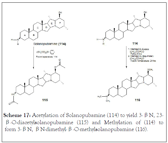 natural-products-chemistry-research-Acetylation