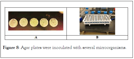 natural-products-chemistry-research-Agar