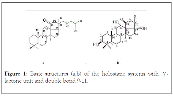 natural-products-chemistry-research-Basic-structures