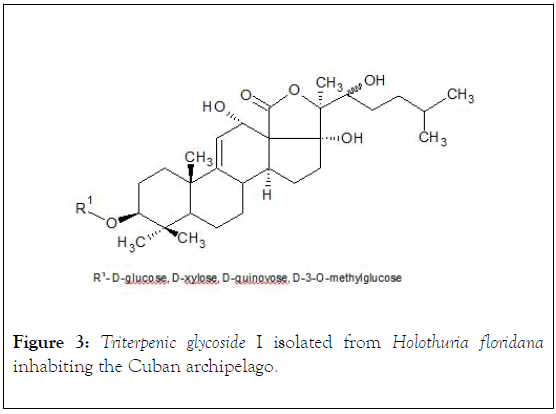 natural-products-chemistry-research-Triterpenic-glycoside