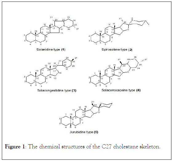 natural-products-chemistry-research-chemical