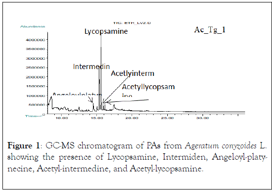 natural-products-chemistry-research-chromatogram