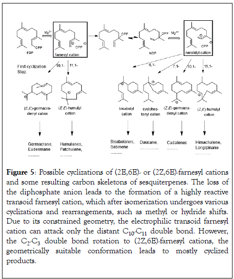 natural-products-chemistry-research-cyclizations