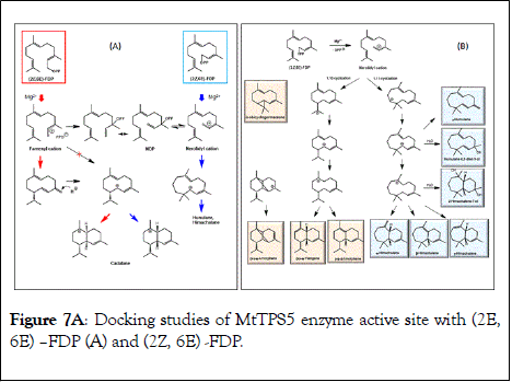 natural-products-chemistry-research-enzyme