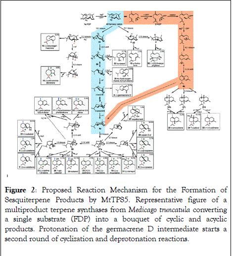 natural-products-chemistry-research-germacrene