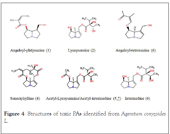 natural-products-chemistry-research-identified