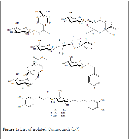 natural-products-chemistry-research-isolated