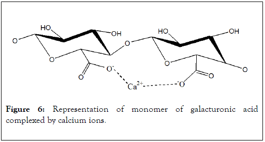 natural-products-chemistry-research-monomer