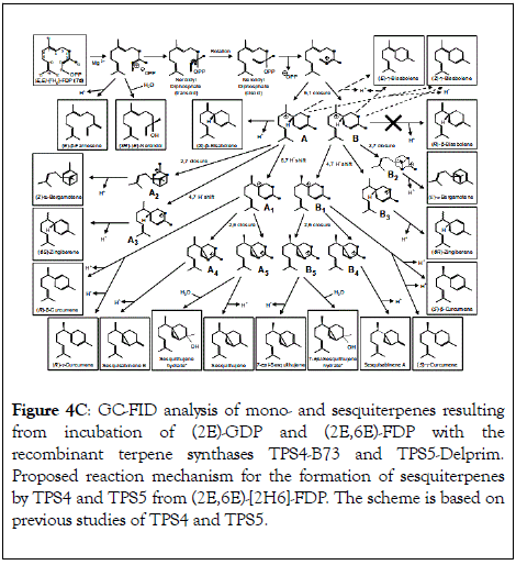 natural-products-chemistry-research-recombinant-terpene