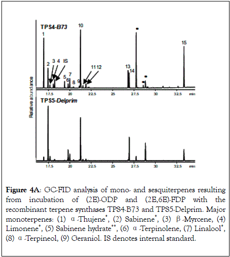 natural-products-chemistry-research-terpene-synthases