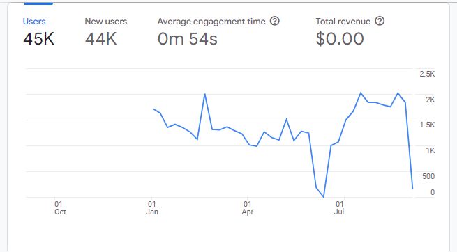 Visitor Analysis Report