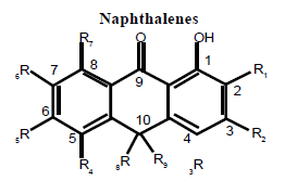 natural-products-chemistry-research