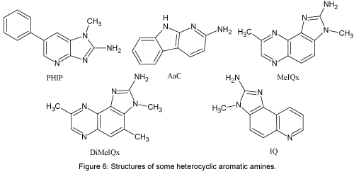 natural-products-chemistry-research-heterocyclic-aromatic