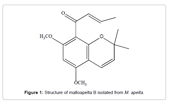Chemistry-Research-Structure-malloapelta-B-isolated