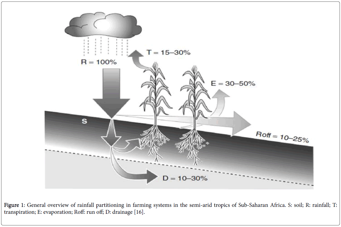 climatology-weather-forecasting-rainfall-partitioning