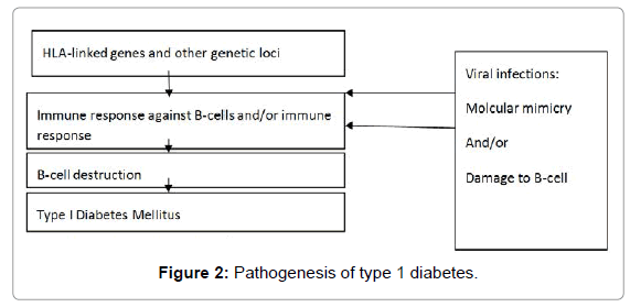 diabetes-metabolism-Pathogenesis-type