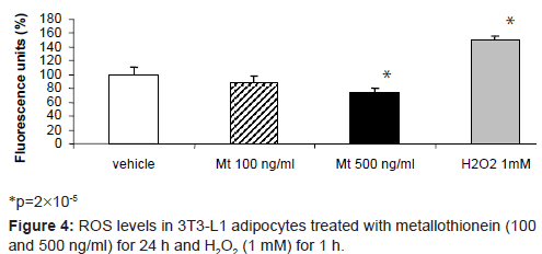 diabetes-metabolism-adipocytes-treated-metallothionein