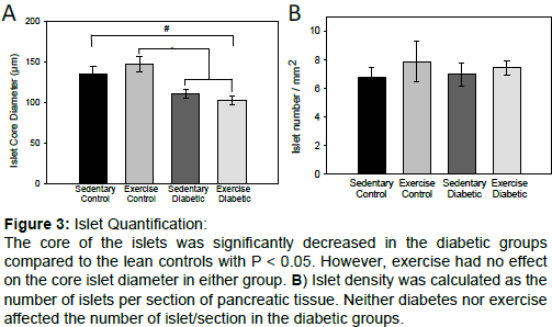 diabetes-metabolism-core-islet-diameter
