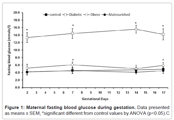 diabetes-metabolism-glucose-during-gestation