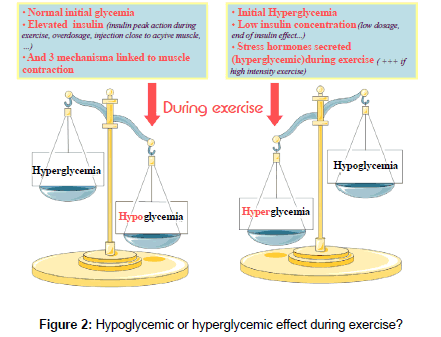 diabetes-metabolism-hyperglycemic-effect-during-exercise