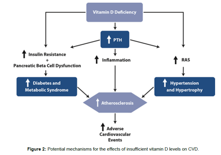 diabetes-metabolism-insufficient-vitamin-D