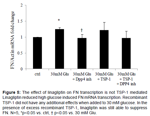diabetes-metabolism-linagliptin-FN-transcription
