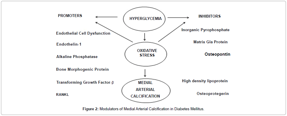 diabetes-metabolism-medial-arterial
