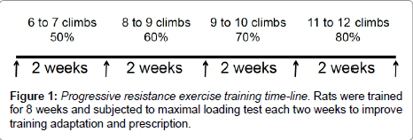 diabetes-metabolism-training-adaptation
