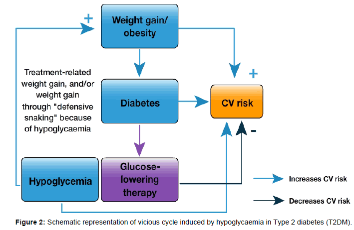 diabetes-metabolism-vicious-cycle-induced-hypoglycaemia