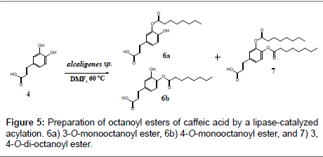 natural-products-chemistry-Preparation-octanoyl