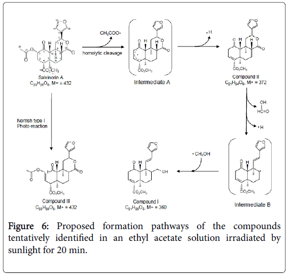 natural-products-chemistry-Proposed-formation