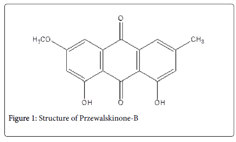 natural-products-chemistry-Przewalskinone