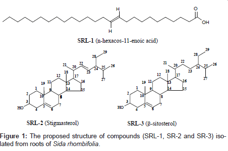 natural-products-chemistry-Sida-rhombifolia